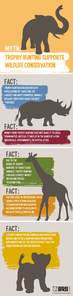 GRAPHIC Trophy Hunting Is Not Wildlife Conservation Born Free USA