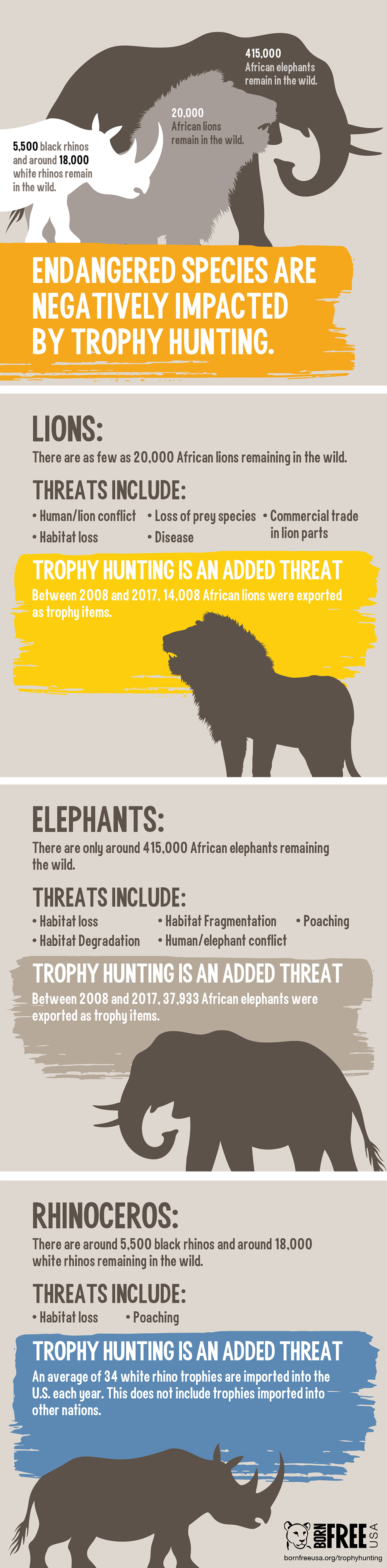 GRAPHIC: Endangered Species Are Negatively Impacted by Trophy Hunting |  Born Free USA