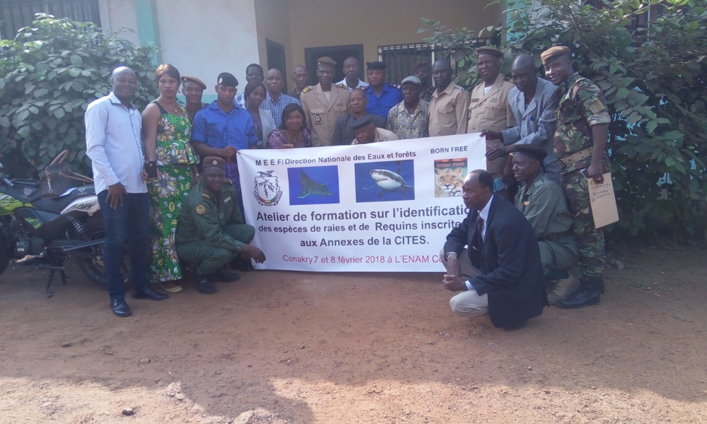 Photo of training participants.