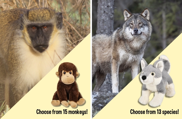 Monkey and Wildlife Adoptions