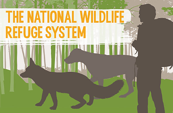 NWR Trapping Infographic