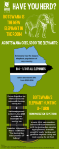Botswana elephant infographic.