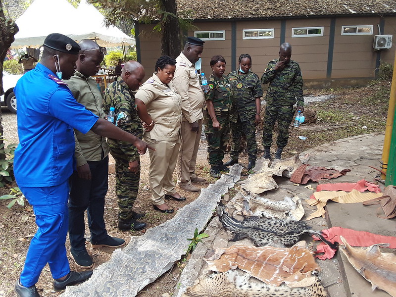 Follow-up identification training for customs officials in Guinea.