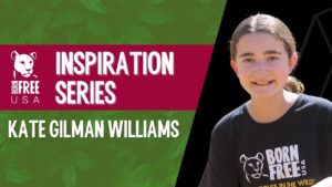 Inspiration Series - Kate Gilman Williams
