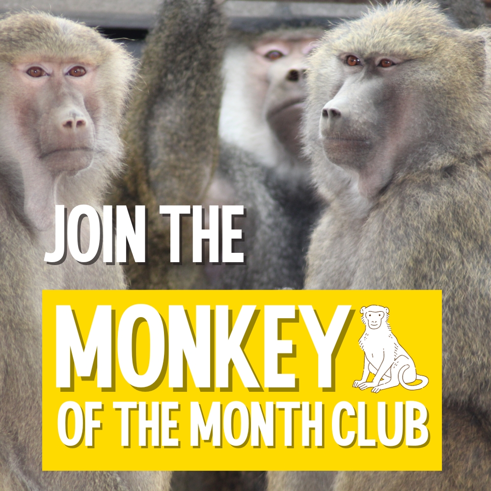JOIN THE MONKEY OF THE MONTH CLUB