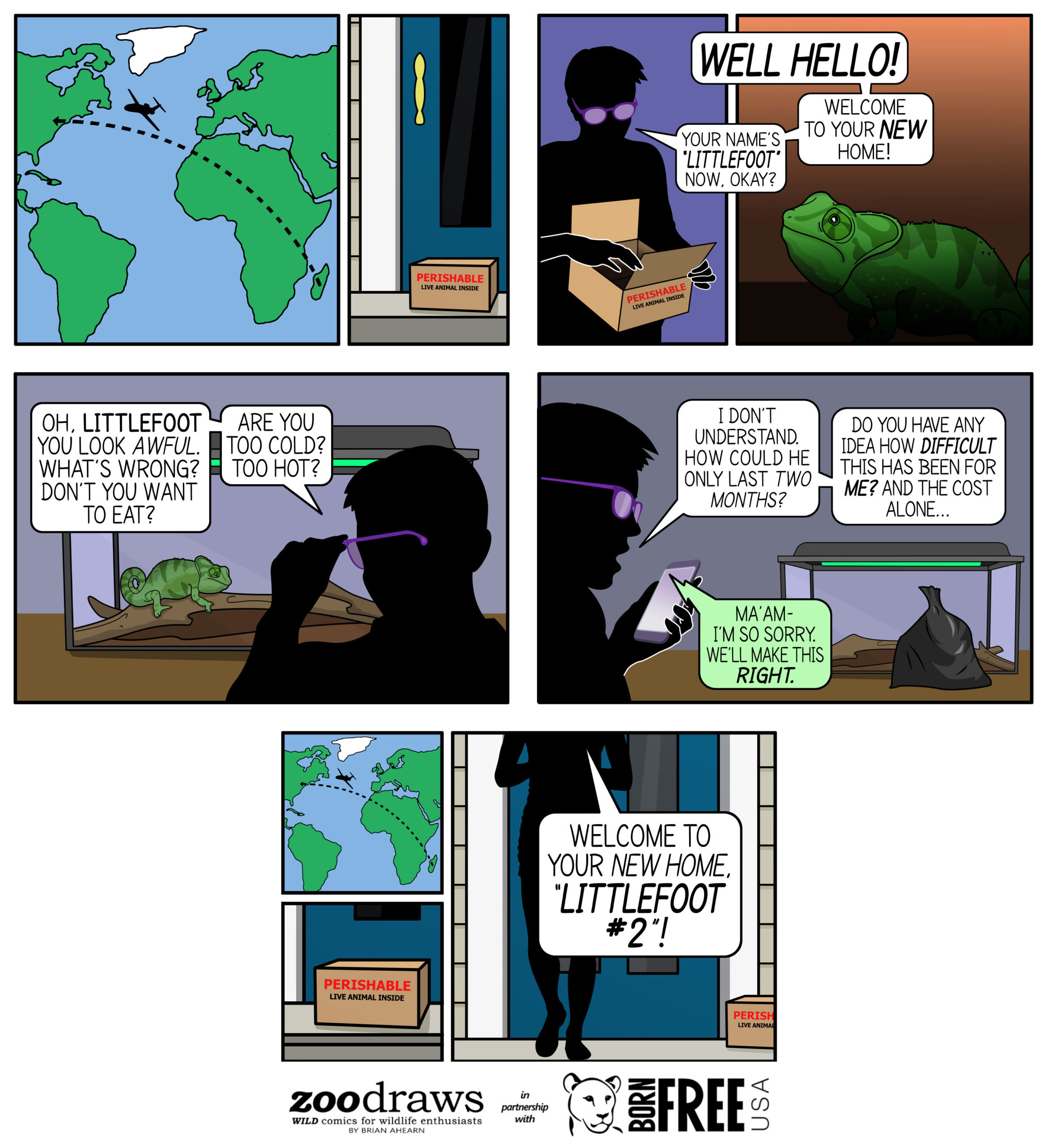 Born Free USA x ZooDraws: Chameleon Comic