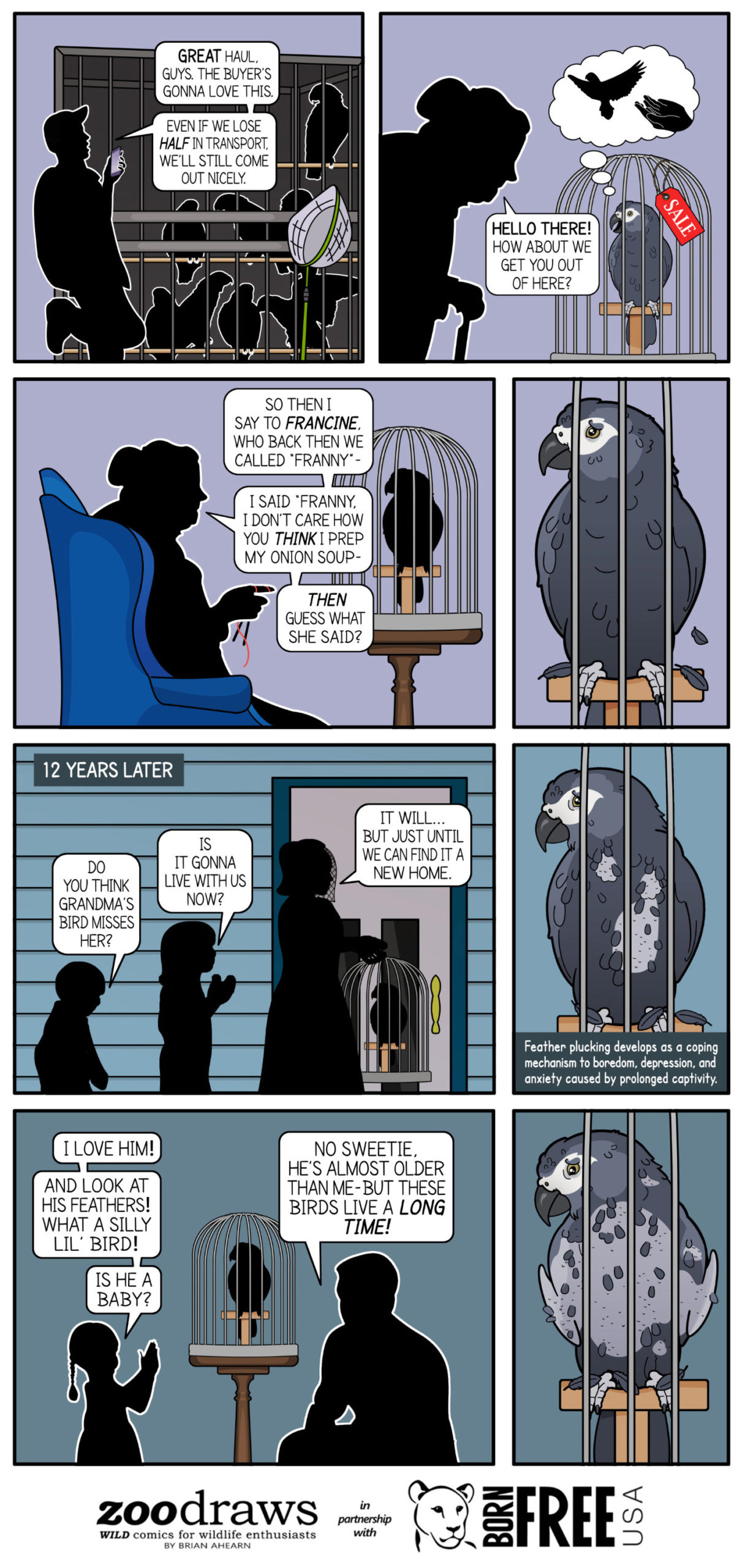 Born Free USA x ZooDraws: African Grey Parrot Comic