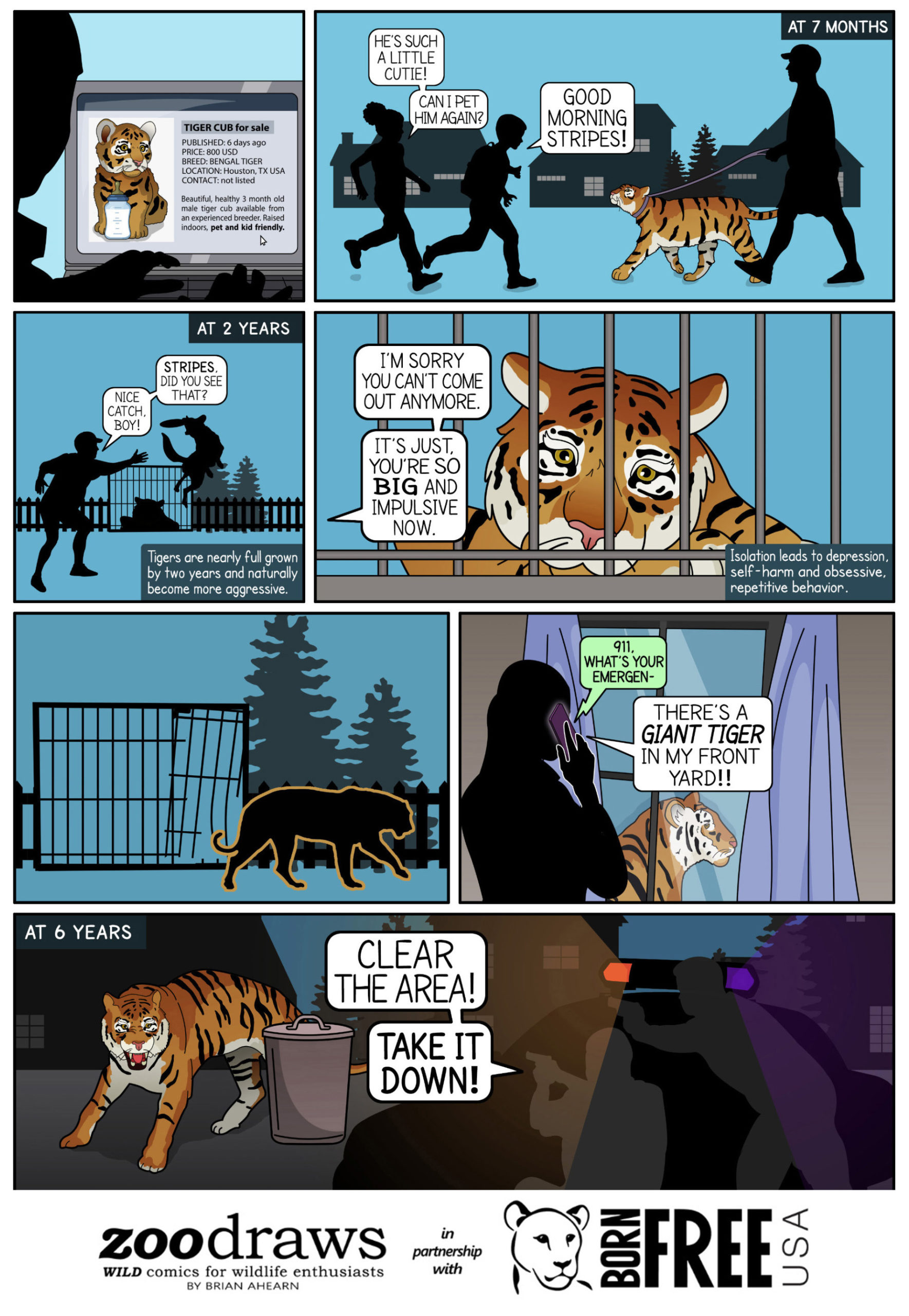 Born Free USA x ZooDraws Tiger Comic