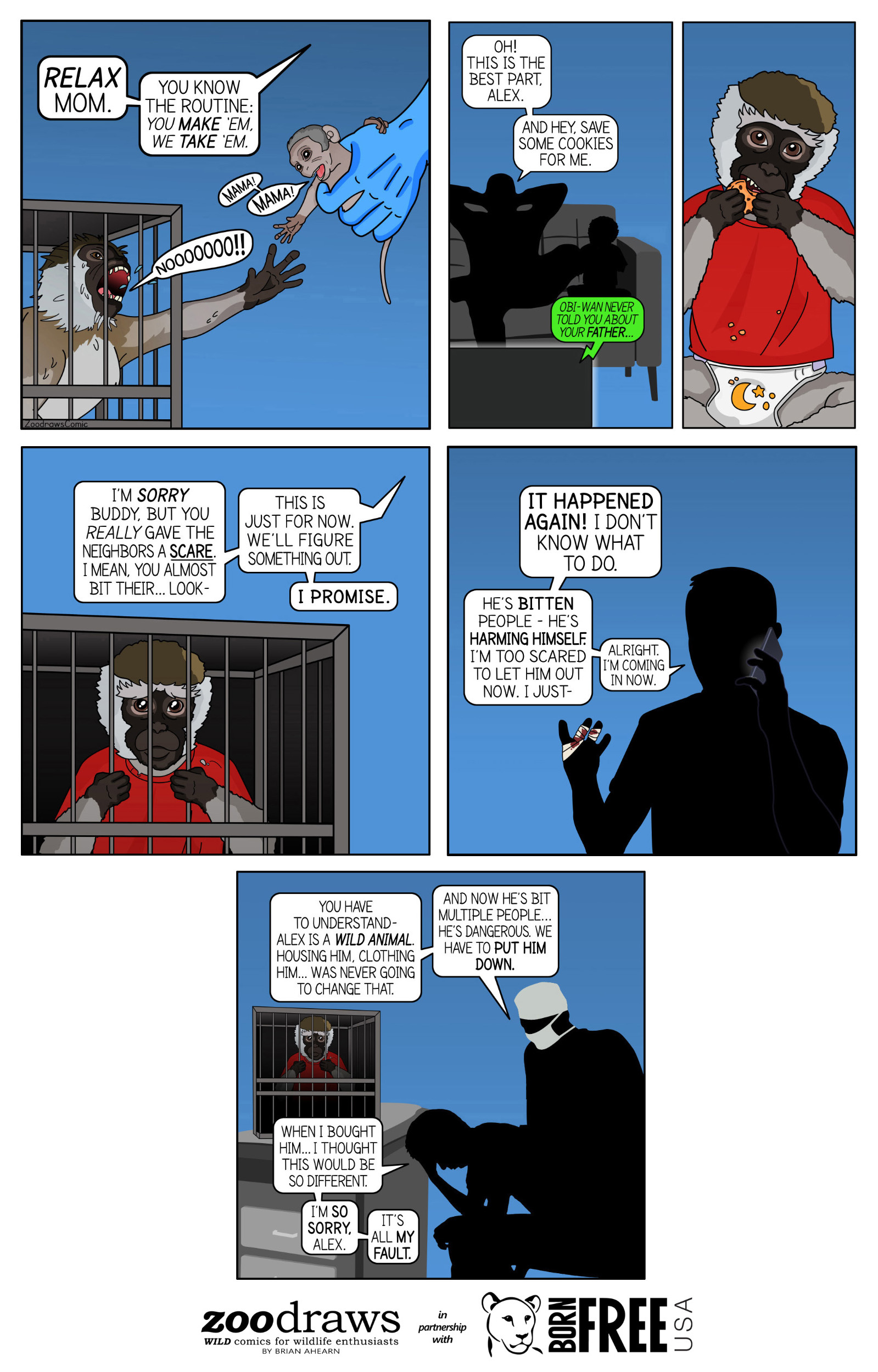 Born Free USA x ZooDraws Vervet Monkey Comic