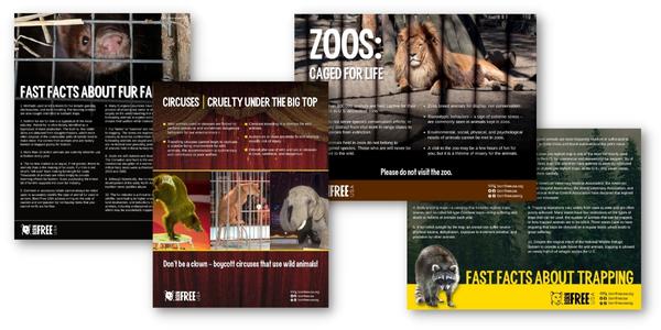 Printable Flyers on Fur Farms, Circuses, Zoos, and Trapping