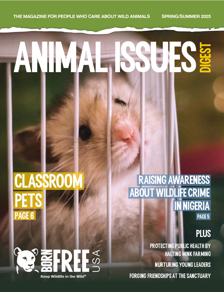 Animal Issues Digest Spring/Summer 2025