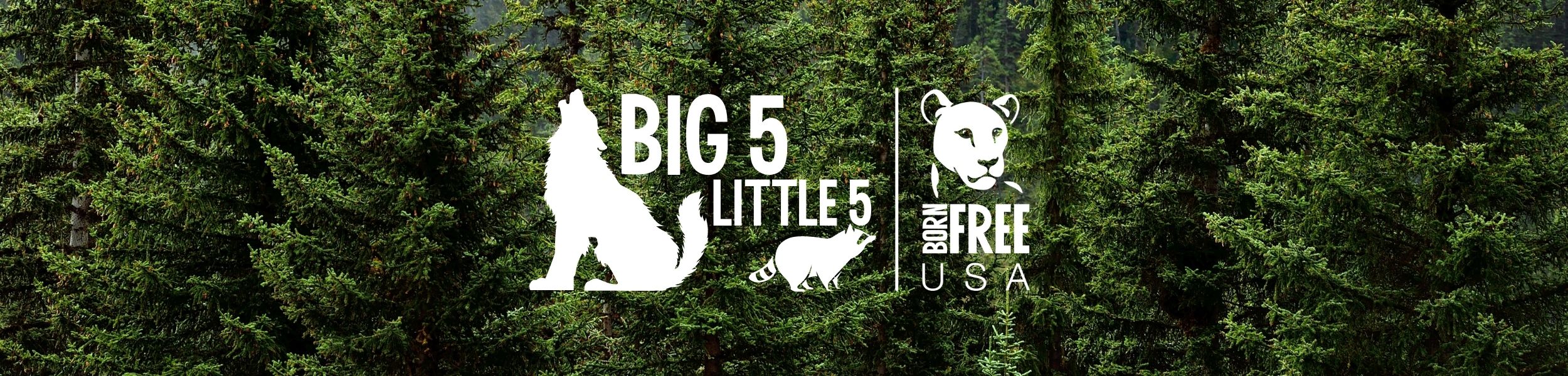 Born Free USA Big Five, Little Five Campaign