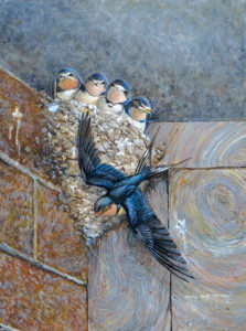 Drawing of barn swallows