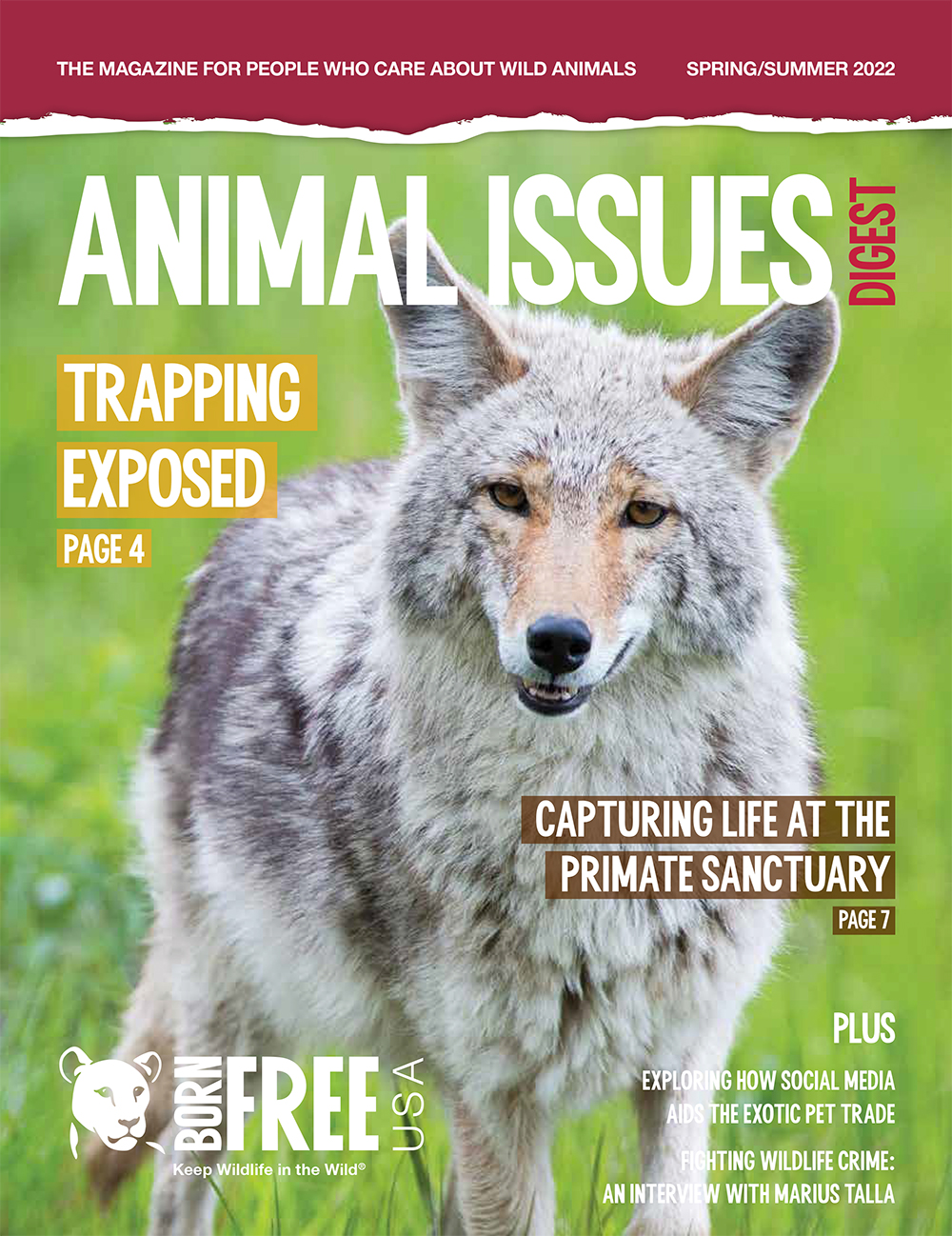 Animal Issues Digest: Spring/Summer 2022