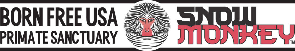 Born Free USA x Snow Monkey