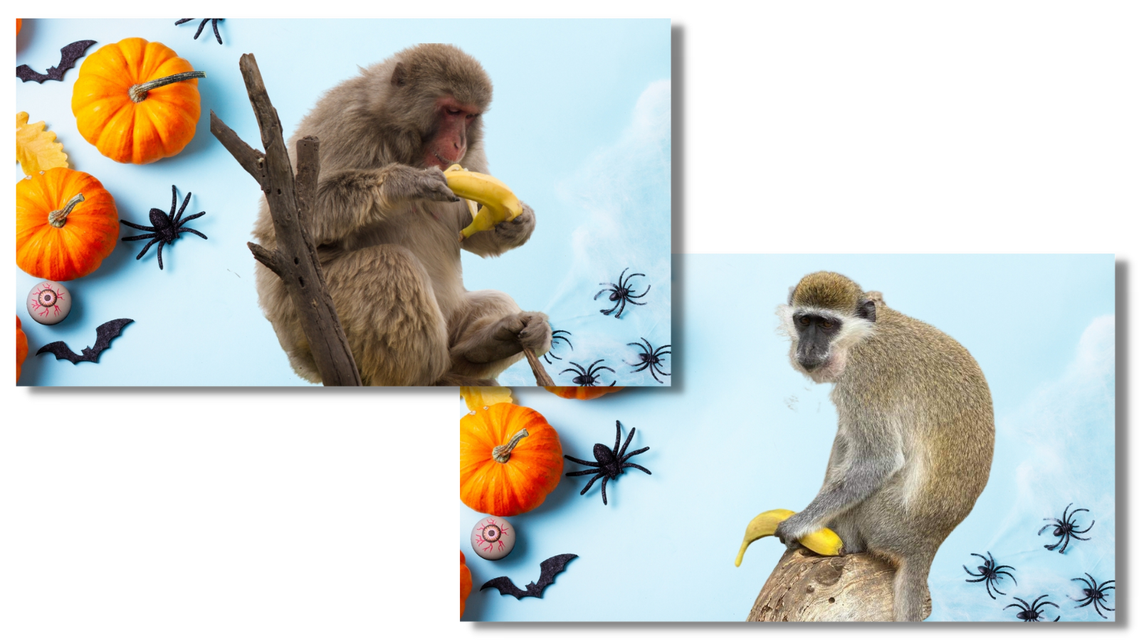 Boo-nanas Wallpapers!