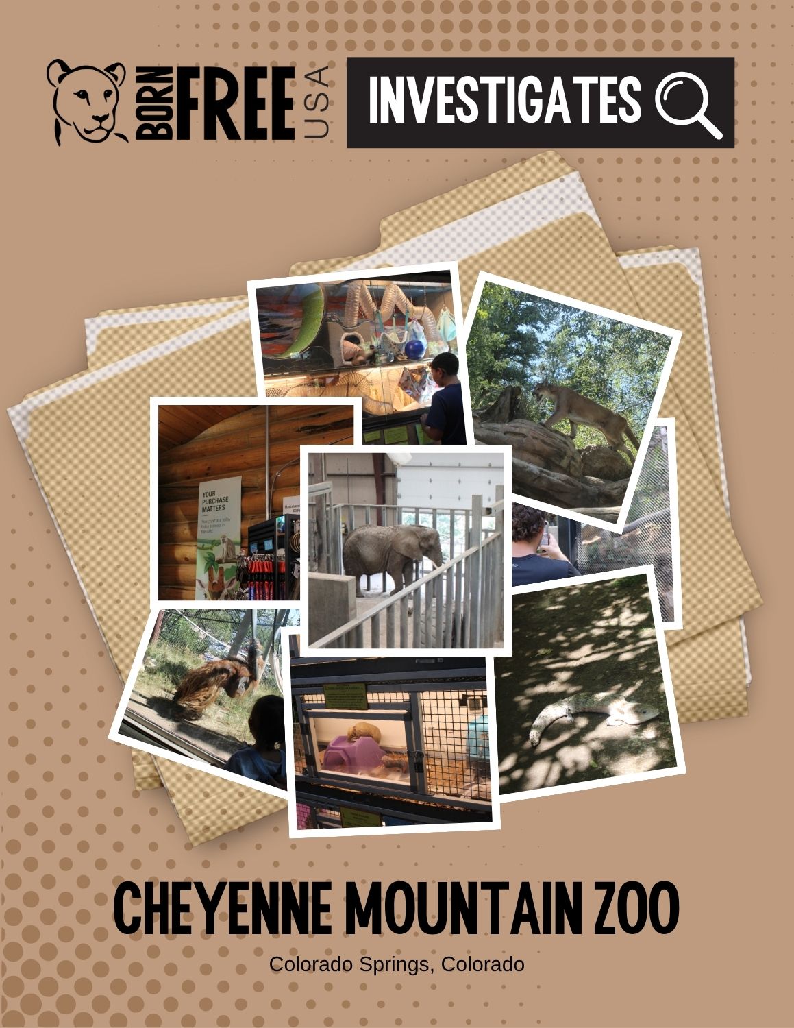 Cheyenne Mountain Zoo