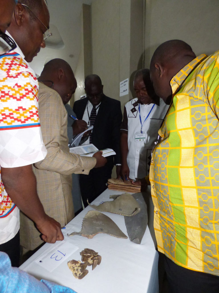 Photo from ECOWAS Training in Côte d’Ivoire