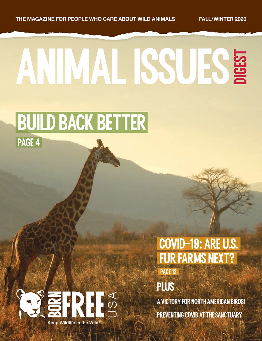 Animal Issues Digest, Fall/Winter 2020