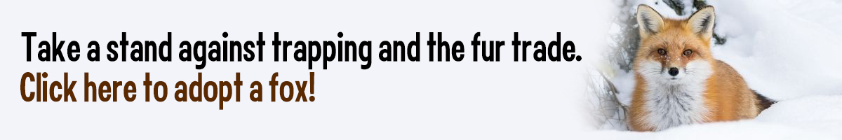 Adopt a Fox