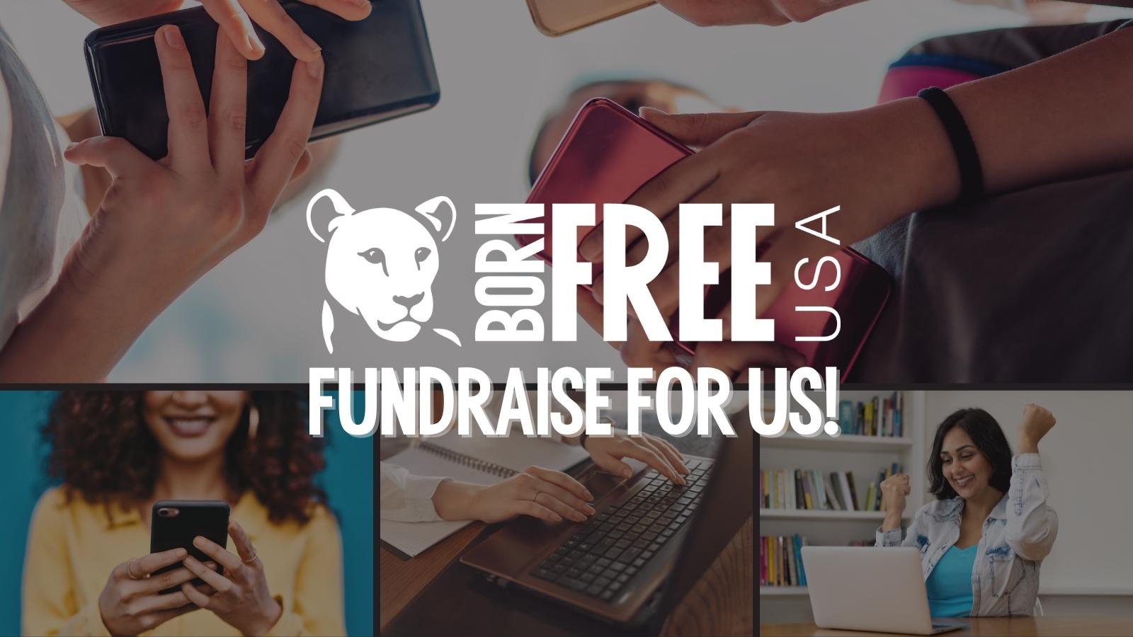 Fundraise for Born Free USA Born Free USA