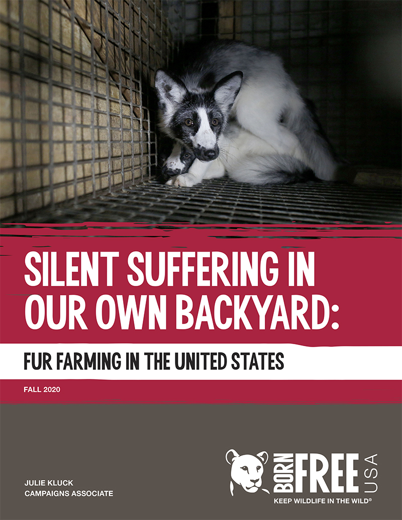 Silent Suffering in Our Own Backyard: Fur Farming in the United States (2020)