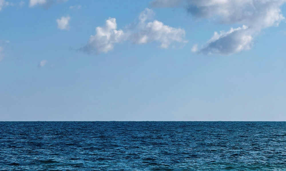 The high seas are ocean and deep-sea areas beyond the national jurisdiction of each country.