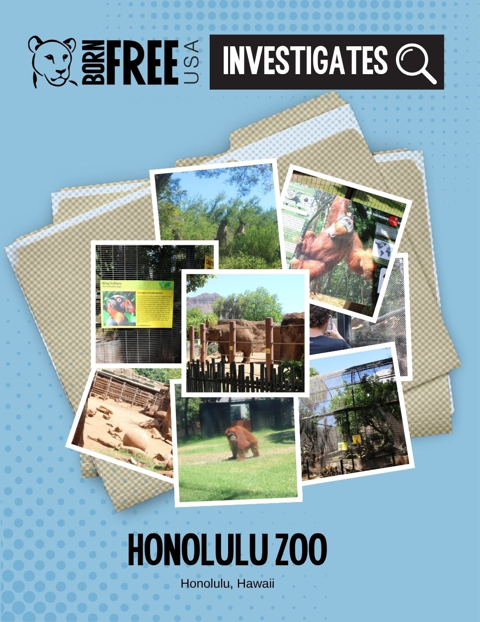 Honolulu Zoo Report Front Cover