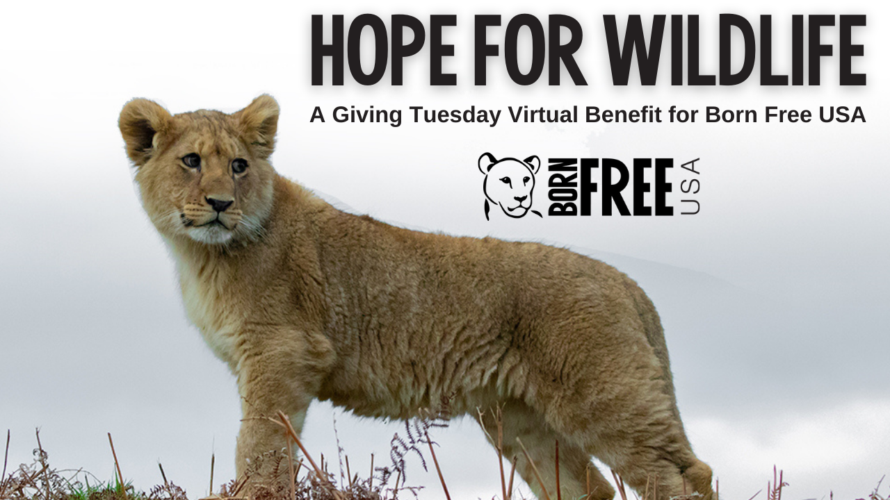 Hope for Wildlife Event Recording