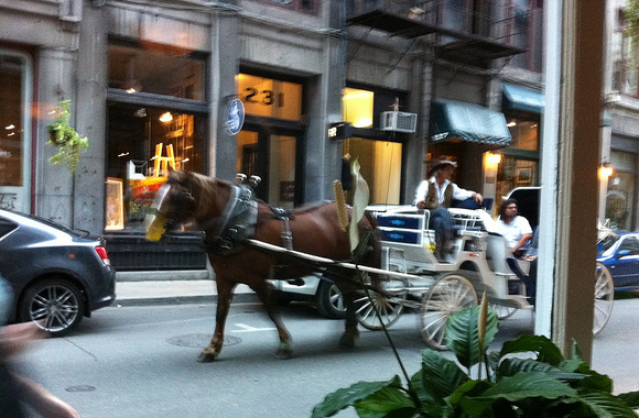 Montreal to Ban Horse-Drawn Carriages.