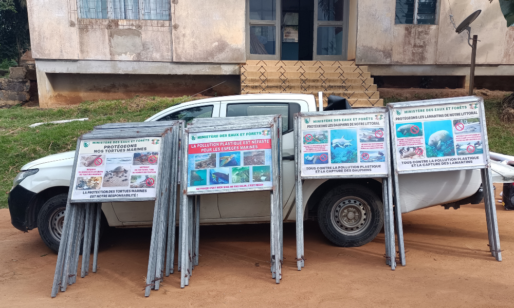 Posters and signs to raise awareness about marine conservation.