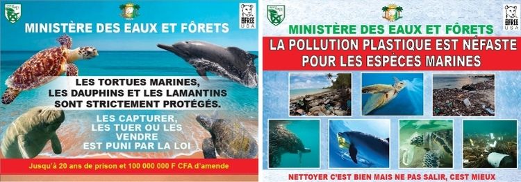 Posters raising awareness about the need to protect marine wildlife in Ivory Coast.