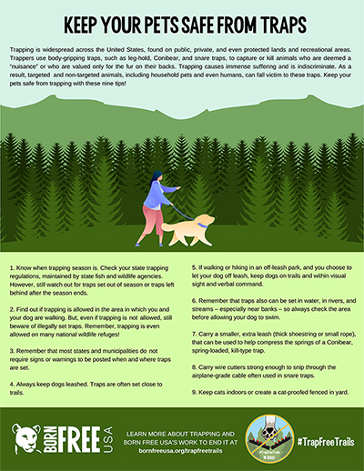 Keep Pets Safe from Traps Guide