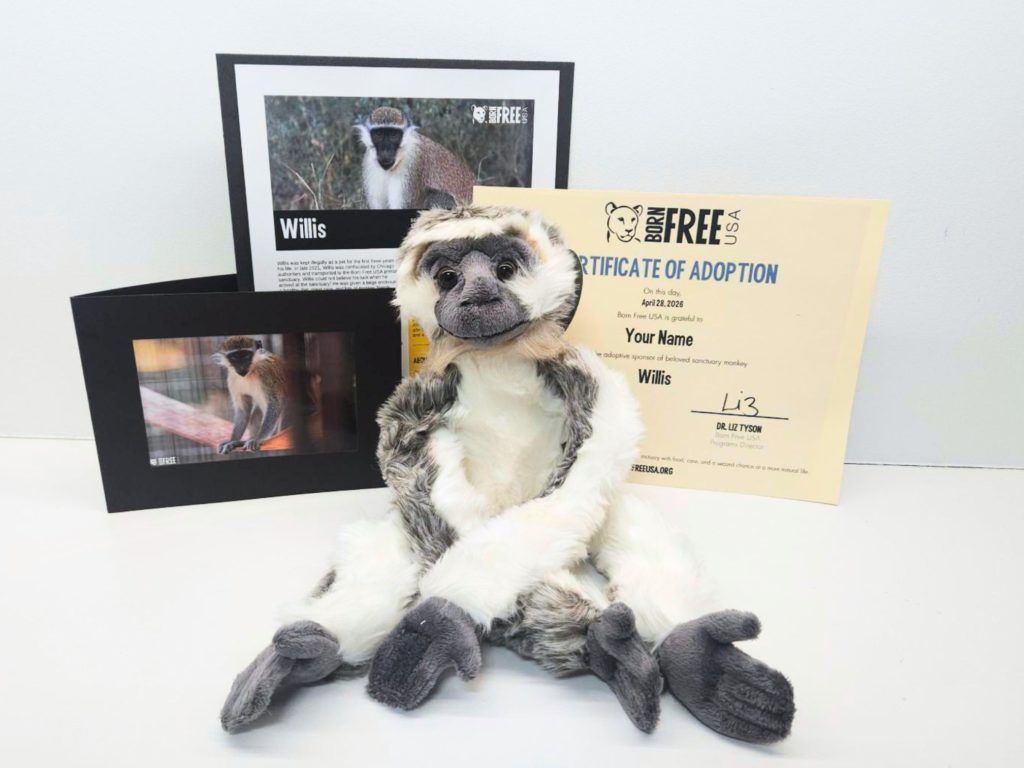 Adoption Package