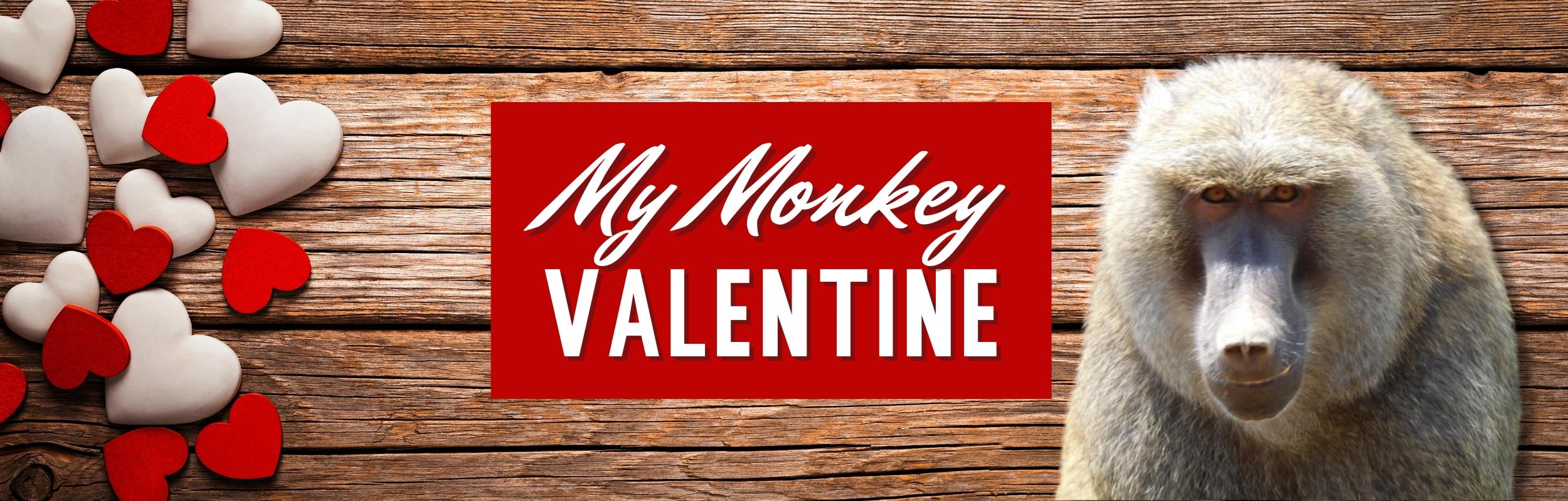 My Monkey Valentine Born Free USA