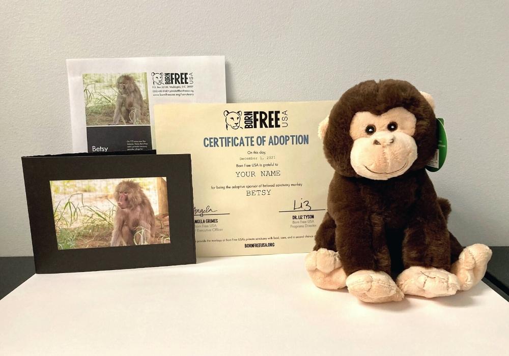 Adopt a Monkey & Protect Primates Born Free USA