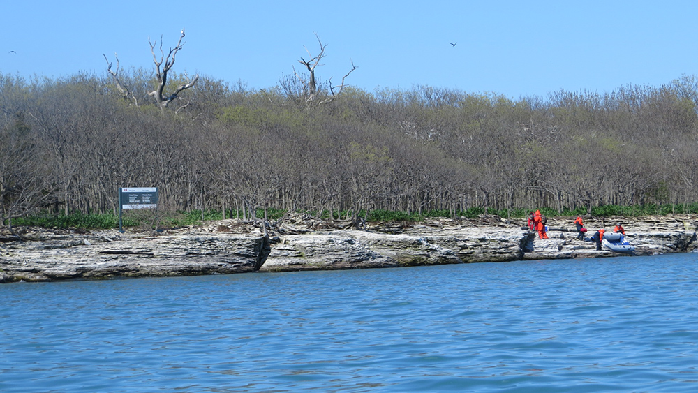 Parks Canada employees on Middle Island to kill birds.