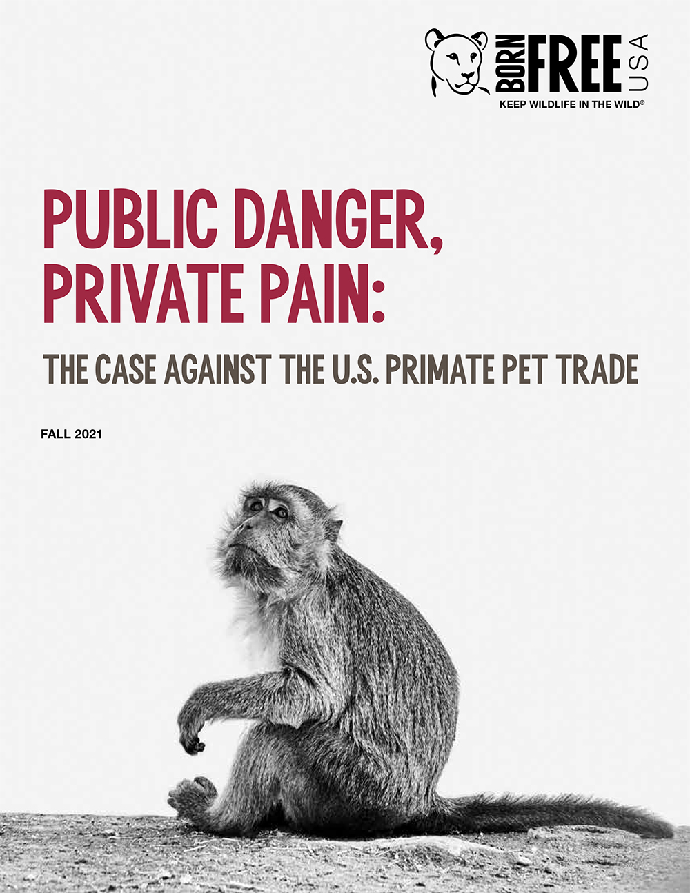 Public Danger, Private Pain Report Cover