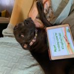 Maya the dog raises a paw for #TrapFreeTrails!