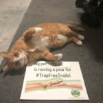 Tessa the cat raises a paw for #TrapFreeTrails!