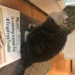 Neely the cat raises a paw for #TrapFreeTrails!