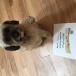 Charlotte the dog raises a paw for #TrapFreeTrails! Pet parent: Sharon Ponsford, Santa Rosa, CA.