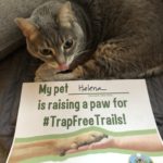 Helena the cat raises a paw for #TrapFreeTrails!