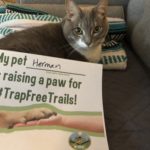 Herman the cat raises a paw for #TrapFreeTrails!