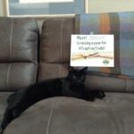 Bosco the cat raises a paw for #TrapFreeTrails! Pet parent: Sheree Noeth, Concord, CA.