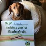 Kane the dog raises a paw for #TrapFreeTrails! Pet parent: Tina Herzog, Slatington, PA.