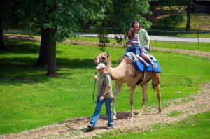 Camel Ride at Tulsa Zoo