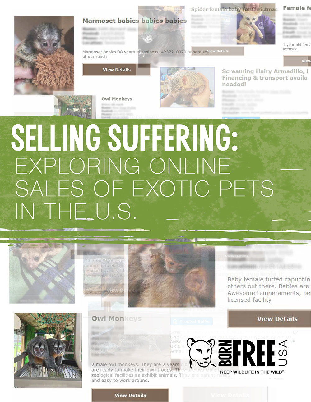Selling Suffering Report Cover