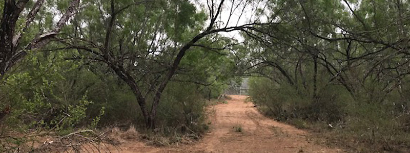 Photo of Kyoto Enclosure at Born Free USA Primate Sanctuary.