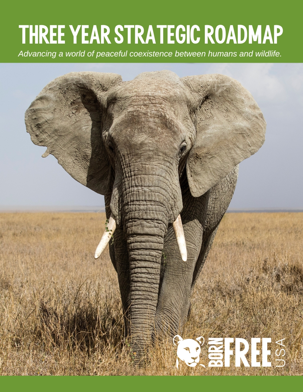 Born Free USA's Three Year Strategic Plan